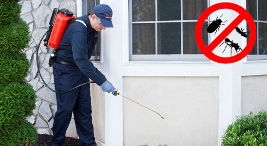 Vize Akrep İlaçlama böcek ilaçlama ve haşere kontrolü — ilaclama-tr.com